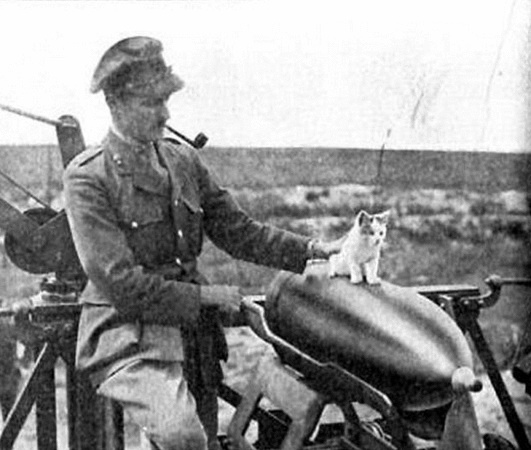 a famous LT pets his cat in WWI